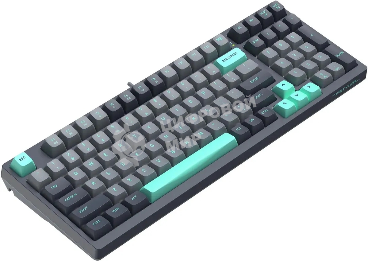 Клавиатура проводная A4Tech Fstyler FS300 механическая черный/серый USB for gamer LED (FS300 PANDA ROCK)