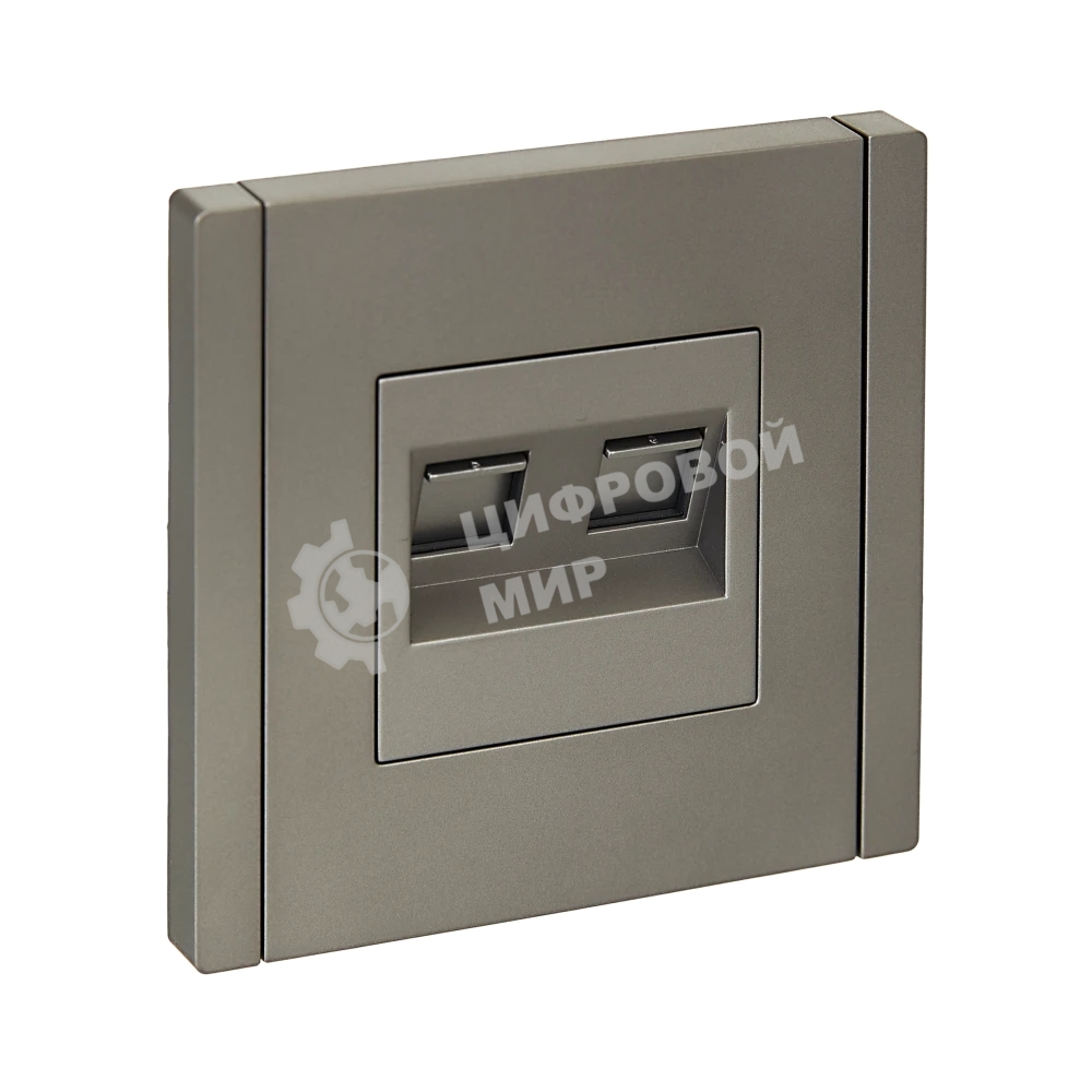 Розетка компьютерная IEK FORTE&PIANO FP534 2-ая RJ45 кат.6 сталь