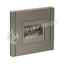 Розетка компьютерная IEK FORTE&PIANO FP534 2-ая RJ45 кат.6 сталь