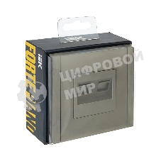 Розетка компьютерная IEK FORTE&PIANO FP534 2-ая RJ45 кат.6 сталь