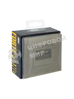 Розетка компьютерная IEK FORTE&PIANO FP534 2-ая RJ45 кат.6 сталь