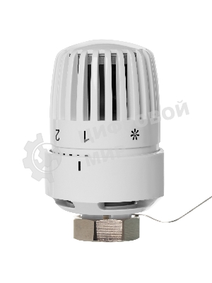 Термоголовка жидкостная Royal Thermo BASIC с выносным датчиком М30х1,5