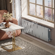 Радиатор биметаллический Royal Thermo PianoForte 300 Серебристый - 16 секц.