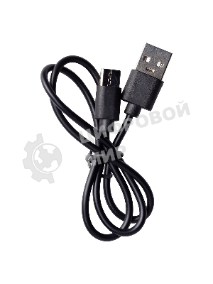 Портативная колонка Smartbuy FUSION 2 дерево