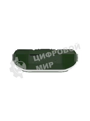 Мобильный телефон Maxvi P101 зеленый