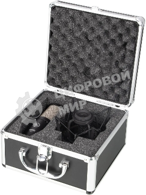 Микрофон AKG P220 3101H00420
