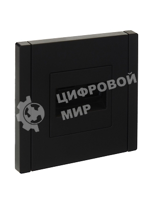 Розетка компьютерная 2-ая RJ45 кат.5E IEK FORTE&PIANO FP133 черный