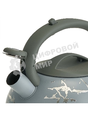 Чайник для плиты ALPENKOK AK-540 3 л