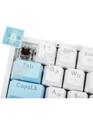 Клавиатура Defender Amox GK-585 проводная, USB Type-A, белый