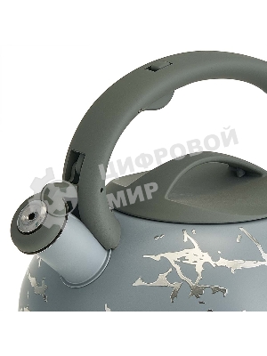 Чайник для плиты ALPENKOK AK-540 3 л