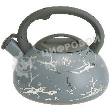 Чайник для плиты ALPENKOK AK-540 3 л