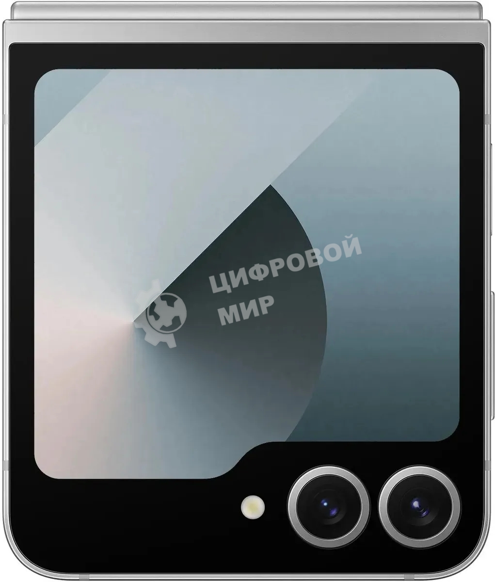 Смартфон Samsung Galaxy Z Flip 6 5G, 12/256Gb, серый