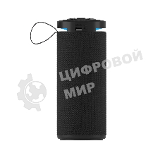 Портативная колонка SOUNDMAX SM-PS5015B черный