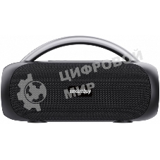 Колонка беспроводная Smartbuy (SBS-5580) MASTER, черный