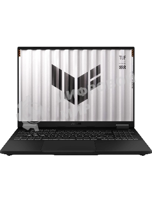 Ноутбук ASUS TUF F16 FX608JHR-RV142/16