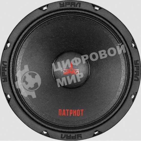 Колонки автомобильные Ural ПАТРИОТ АС-ПТ165.2, (без решетки), 300Вт, 98.5дБ, 4Ом, 16.5 см, (6 1/2 дюйм), 2 шт, широкополосные, однополосные