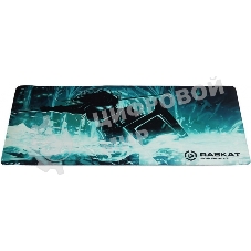 Коврик для мышки Raskat Paladin IP - L (900x400x3, резина/ткань, прошитый край)