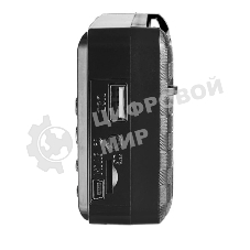 Радиоприемник цифровой Perfeo PALM FM+ 87.5-108МГц/MP3/питание USB или 18650/черный (i90-BL)