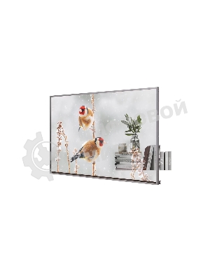 Панель LG 55EW5P-M серебристый, 55