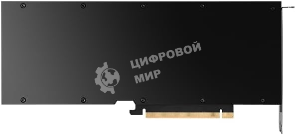 Видеокарта Nvidia Tesla L40s