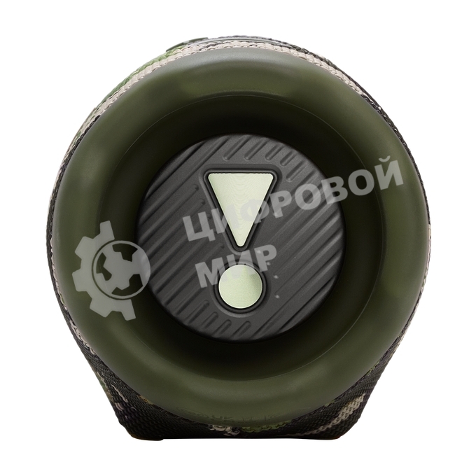 Портативная колонка JBL JBLCHARGE6SQUAD камуфляж