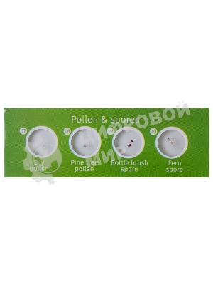 Набор микропрепаратов Levenhuk LABZZ CP24, существа и растения (72870)