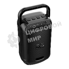 Портативная колонка Soundmax SM-PS5041B чёрный