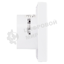 Вентилятор вытяжной Ballu BAF-EX 100 G