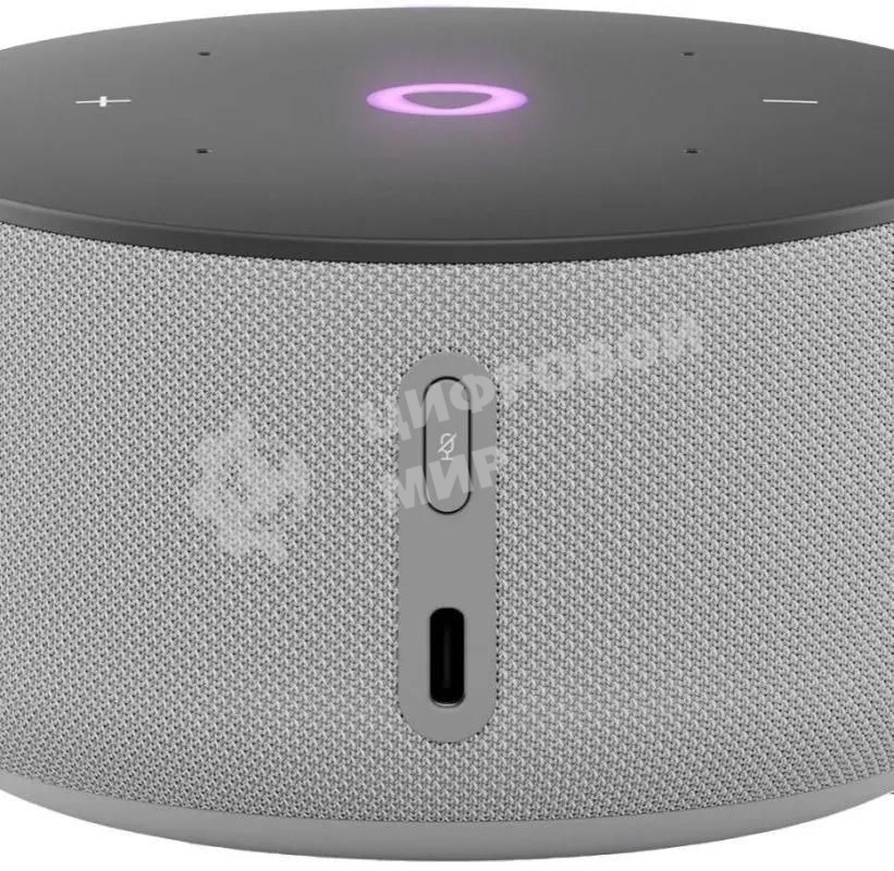 Умная колонка Yandex Станция Мини 3 Алиса серый 12W 1.0 BT/Wi-Fi