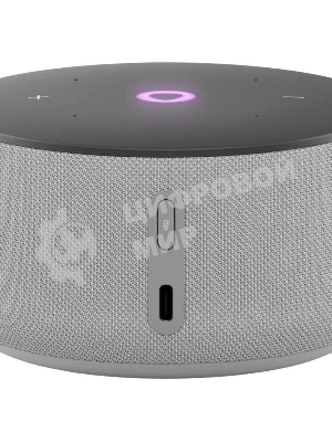 Умная колонка Яндекс Станция Мини 3, 12Вт, компактная, 1 динамик, часы, управление умным домом, Wi-Fi, Bluetooth 5.0, Алиса, серый