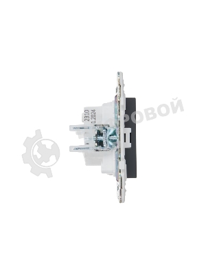 Розетка IEK SKANDY SK-R02G 10А графит без заземл. без защ. шторок SK-R10-10-K53