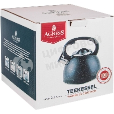 Чайник для плиты AGNESS 907-064 нерж. 2,5 л
