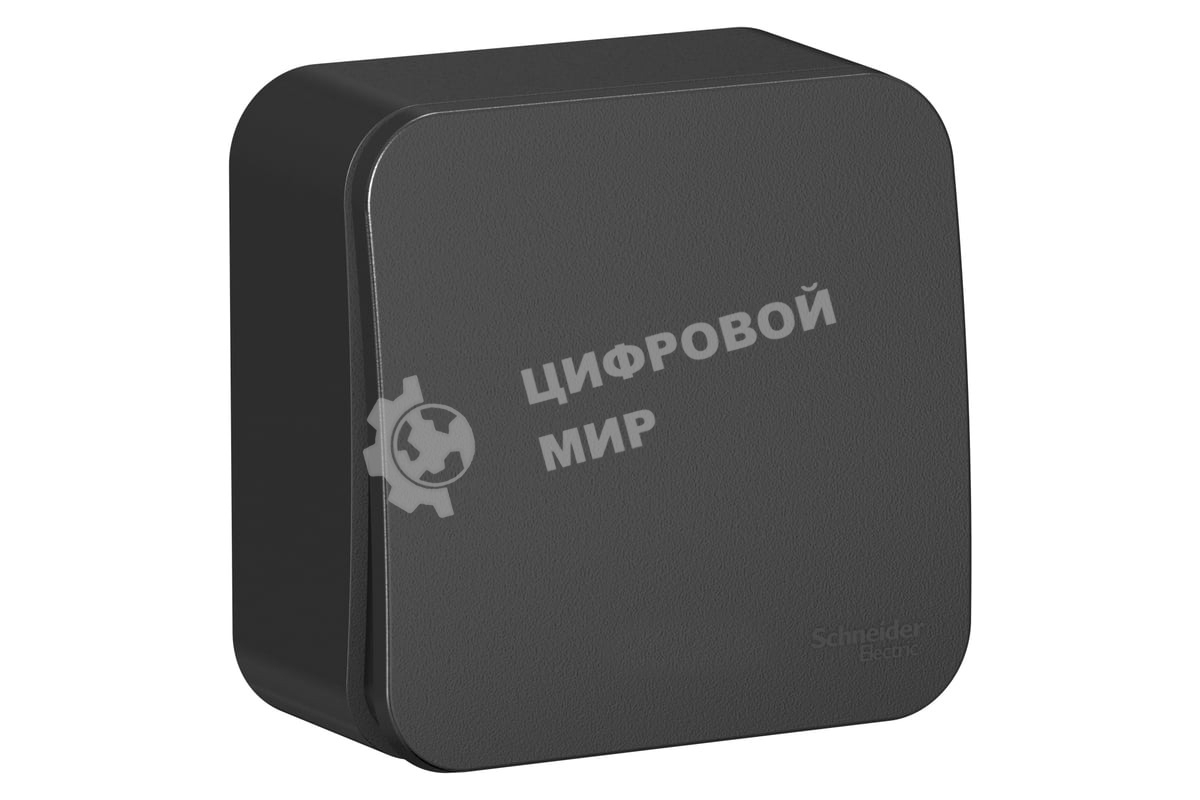 Выключатель 1-кл. ОП Blanca (сх.1) 10А 250 В изол. пласт. антрацит SchE