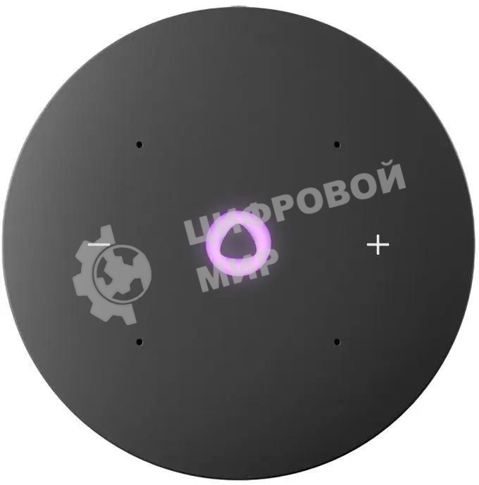 Умная колонка Yandex Станция Мини 3 Алиса серый 12W 1.0 BT/Wi-Fi