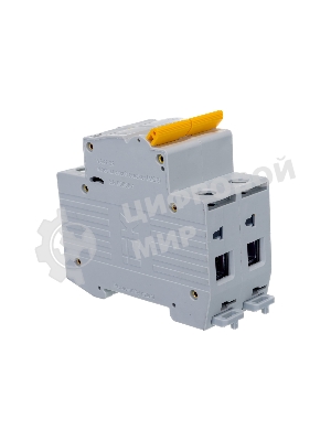 Выключатель автоматический модульный 2п C 63А 4.5кА ВА47-29 IEK MVA20-2-063-C