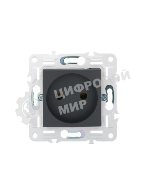 Розетка IEK SKANDY SK-R02G 10А графит без заземл. без защ. шторок SK-R10-10-K53