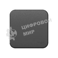 Выключатель 1-кл. ОП Blanca (сх.1) 10А 250 В изол. пласт. антрацит SchE