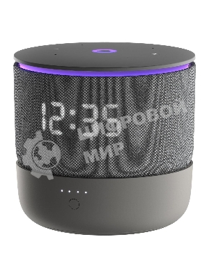 Умная колонка Яндекс Станция Мини 3 Про, 18Вт, компактная, 1 динамик, Алиса, Wi-Fi, Bluetooth 5.0, Zigbee, Matter, черный