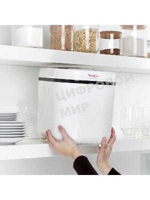 Хлебопечь Moulinex OW210130