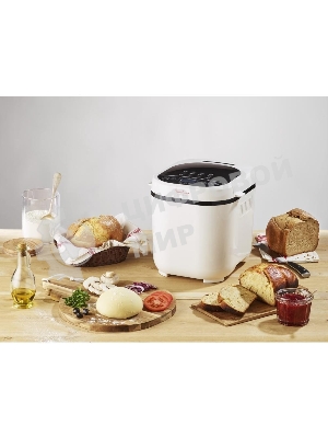 Хлебопечь Moulinex OW210130