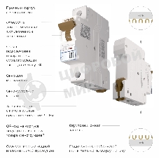 Автоматический выключатель Werkel 1P  10 A  C  6 кА W901P106