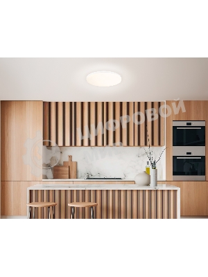 Умный светодиодный светильник FZ2001 WH белый IP54 20W 3000K-6500K+RGB Wi-Fi Алиса/Tuya/Smart Home/Alexa D300*55 (ПДУ ИК)