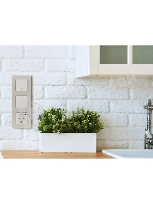 Розетка 2К+З немецкий стандарт 16А 250В с зарядным устройством USB C 1.5А 5В слоновая кость