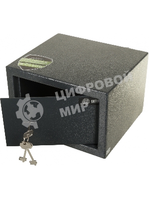 Сейф мебельный Cactus CS-SF-K18 170x260x230 мм ключевой
