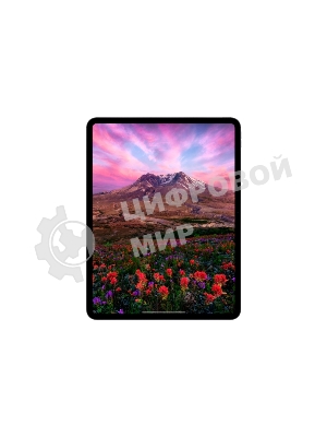 Планшет Apple iPad Pro 2024 A2836 11