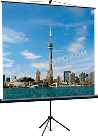Экран на треноге Lumien 200x200 см Eco View LEV-100103 1:1 напольный рулонный