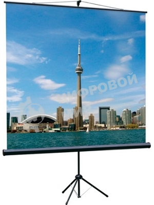 Экран на треноге Lumien 200x200 см Eco View LEV-100103 1:1 напольный рулонный