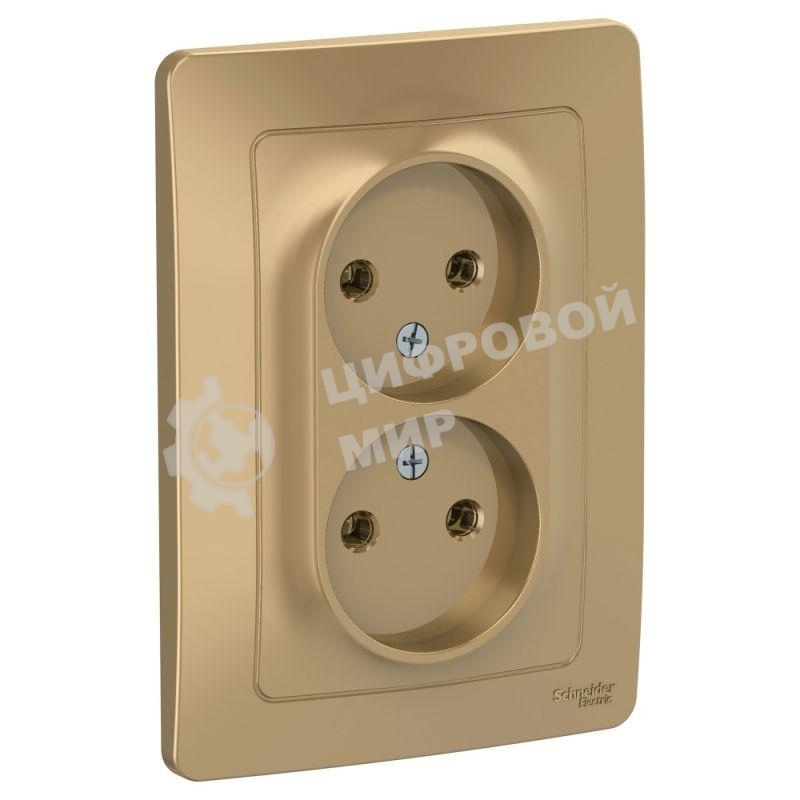 Розетка 2-м СП Blanca 16А 250В без шторок без заземл. титан SchE BLNRS000024