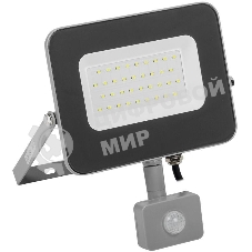 Прожектор Iek LPDO702-30-K03 СДО 07-30Д светодиодный серый с ДД IP44 IEK