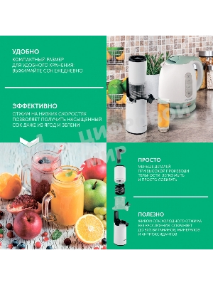 Соковыжималка шнековая Scarlett SC-JE50S59 белый